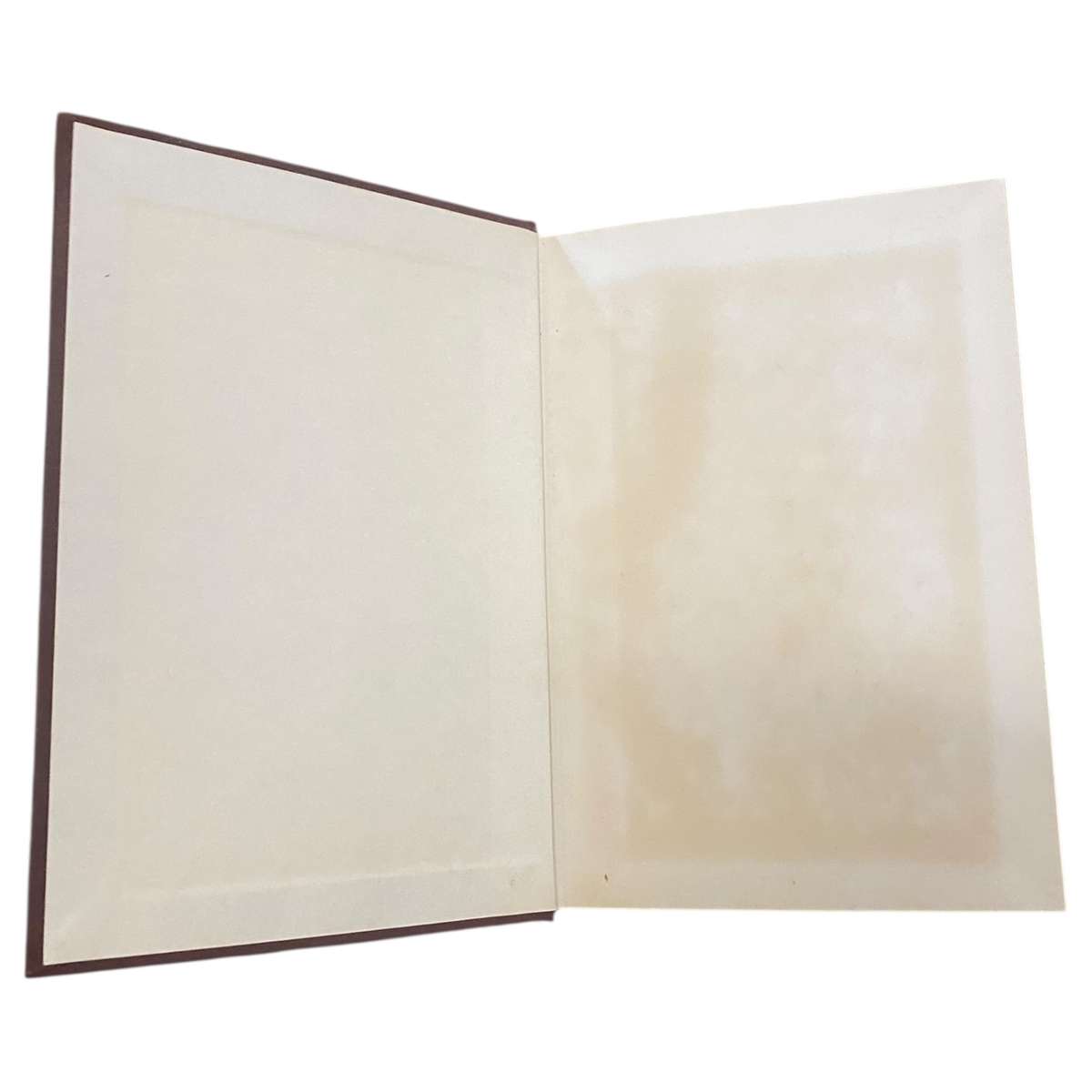 African Rifles and Cartridges