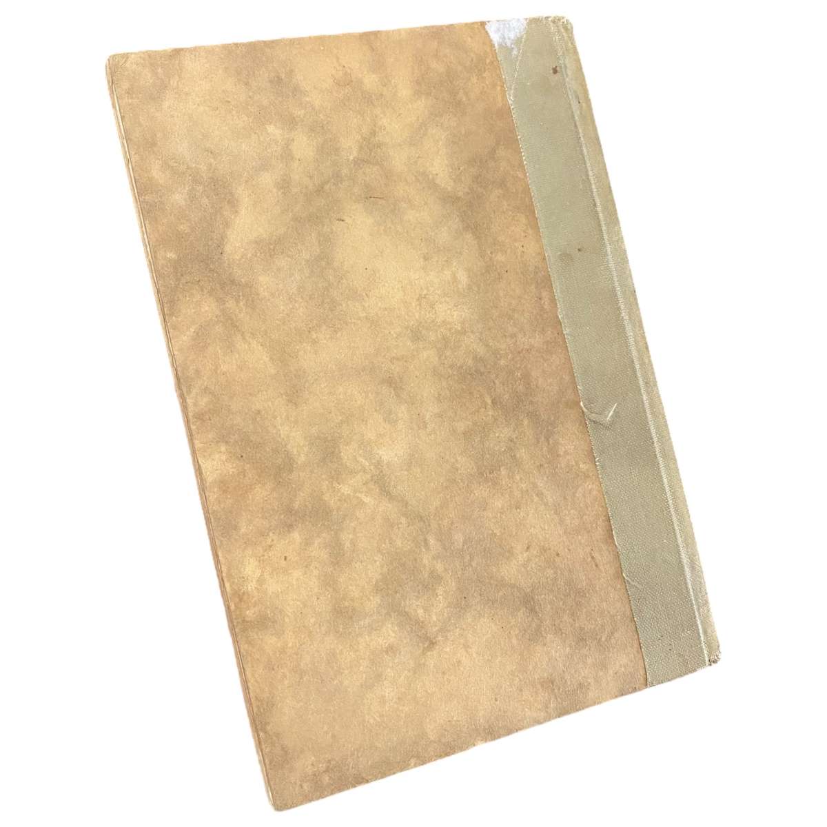 A Trout Rod in Natal