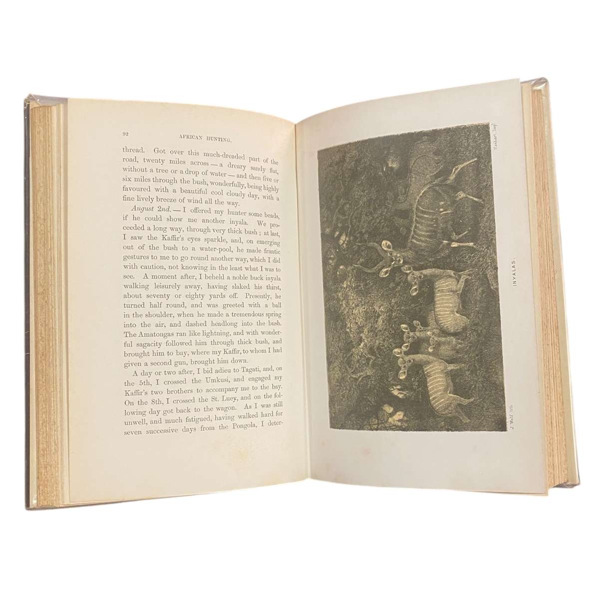 African Hunting and Adventure