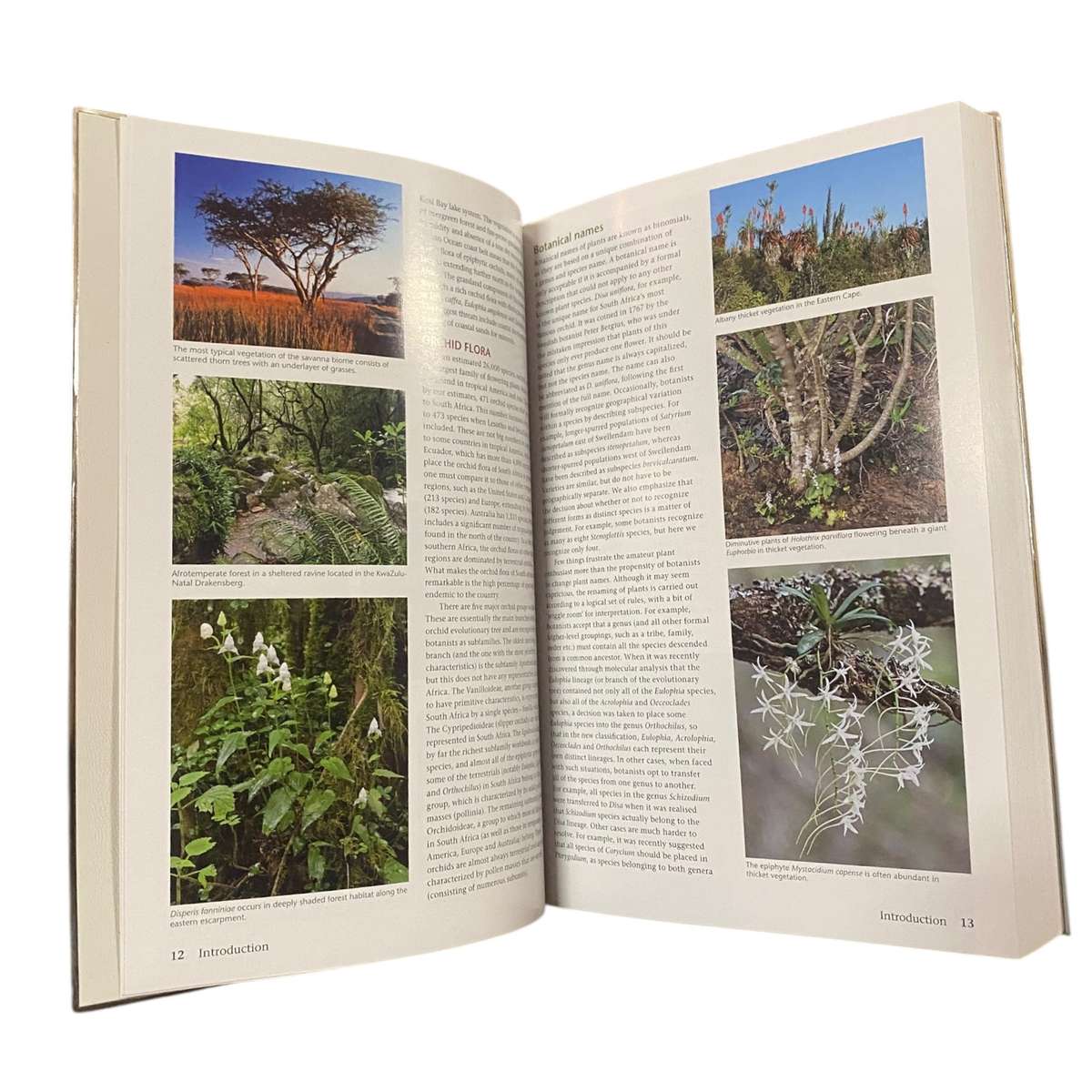 Orchids of South Africa - A Field Guide