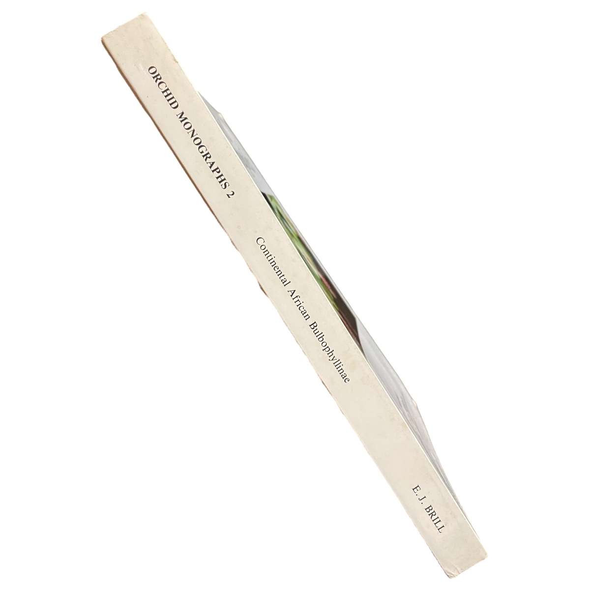 Orchid Monographs, Volume 2