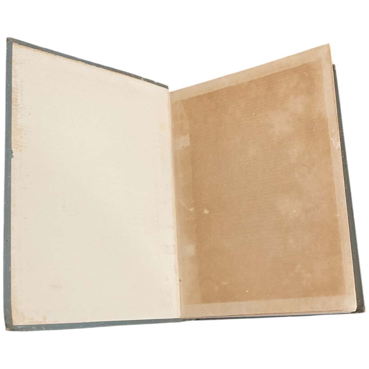 Pheasants and Covert Shooting