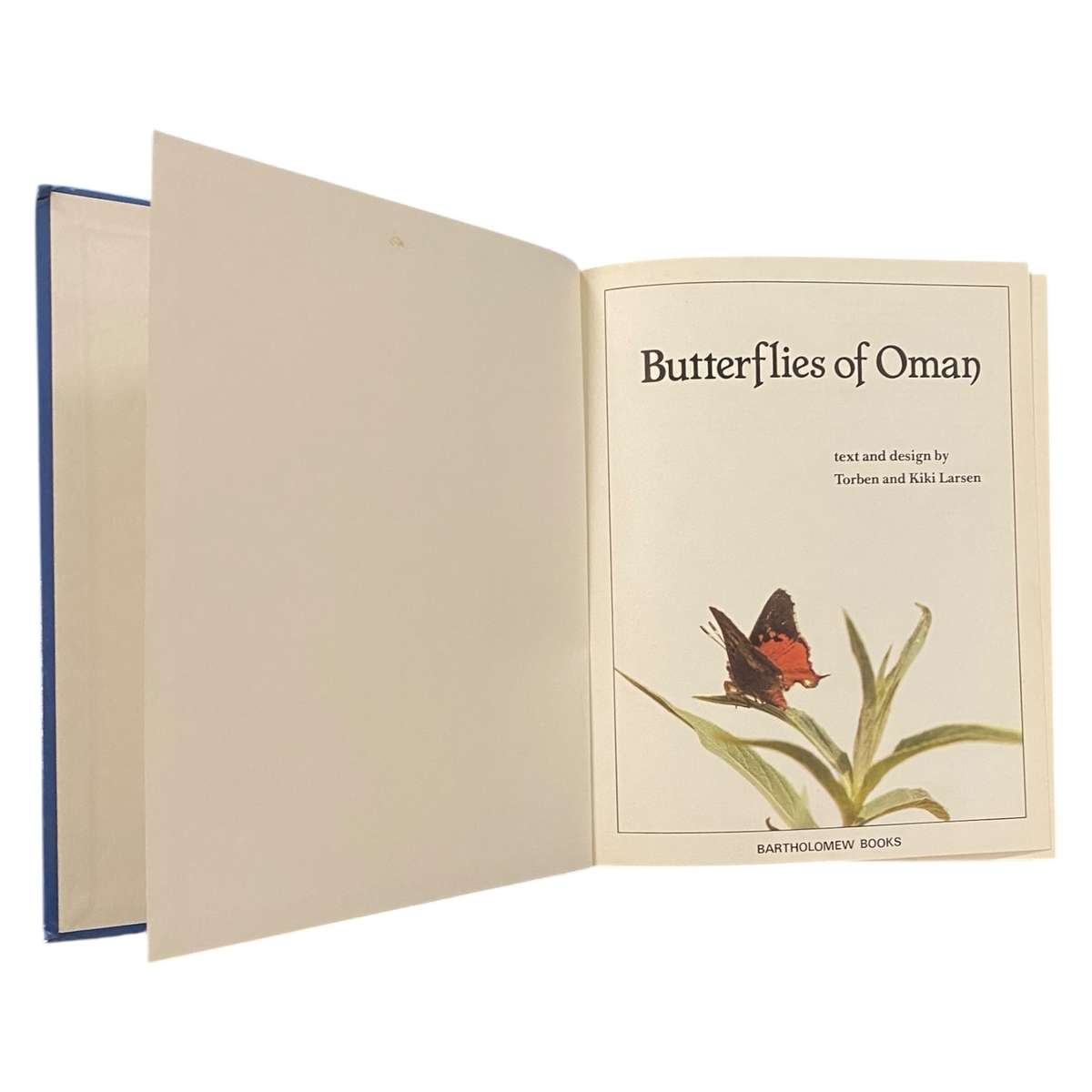 Butterflies of Oman