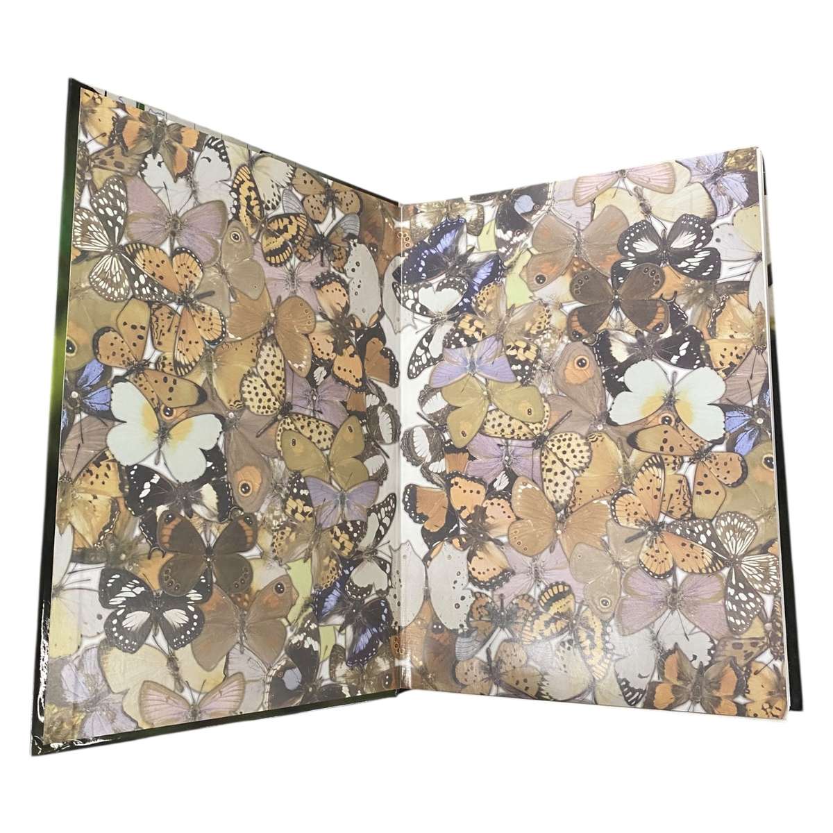 Conservation Assessment of Butterflies