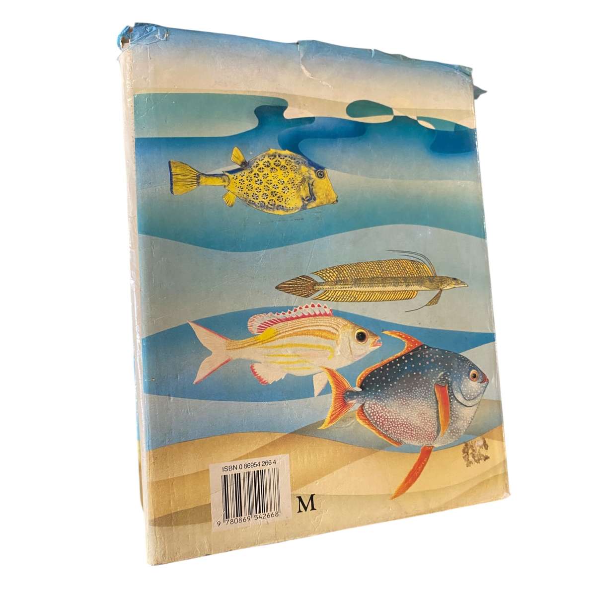 Smiths Sea Fishes