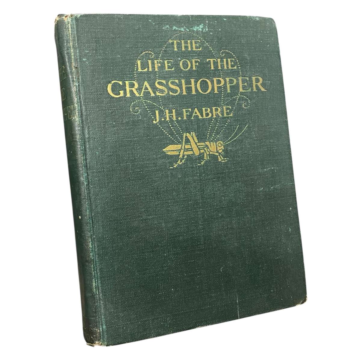 The Life of the Grasshopper