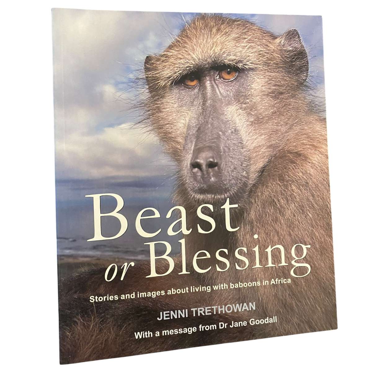 Beast or Blessing
