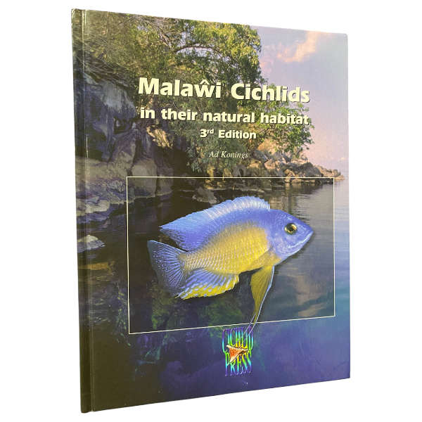 Malawi Cichlids in Their Natural Habitat
