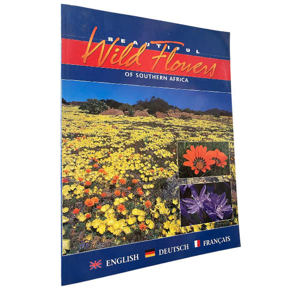Beautiful Wild Flowers Of Southern Africa