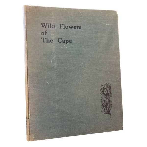 Wild Flowers Of The Cape; A Floral Year (Without Dust Jacket)