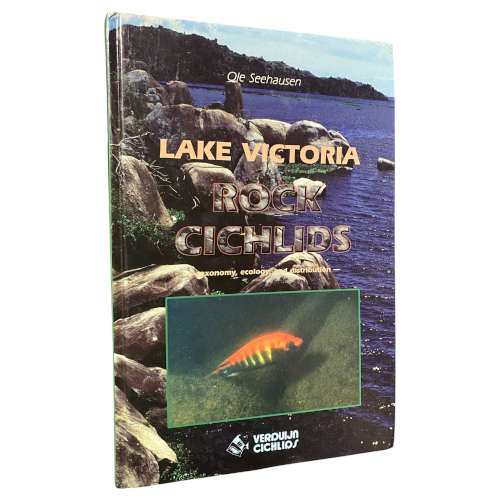 Lake Victoria Rock Cichlids