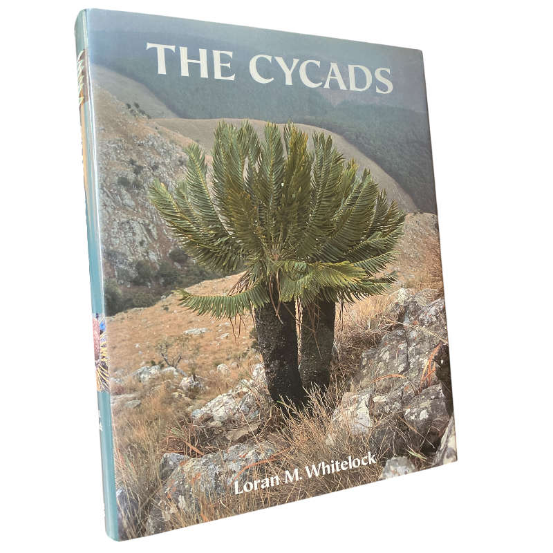 The Cycads (Signed)