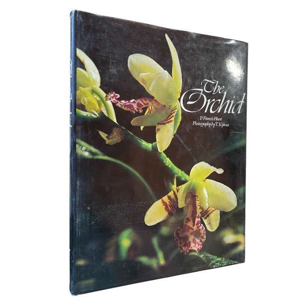 The Orchid