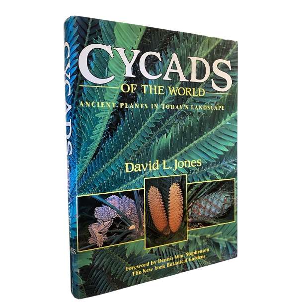 Cycads Of The World