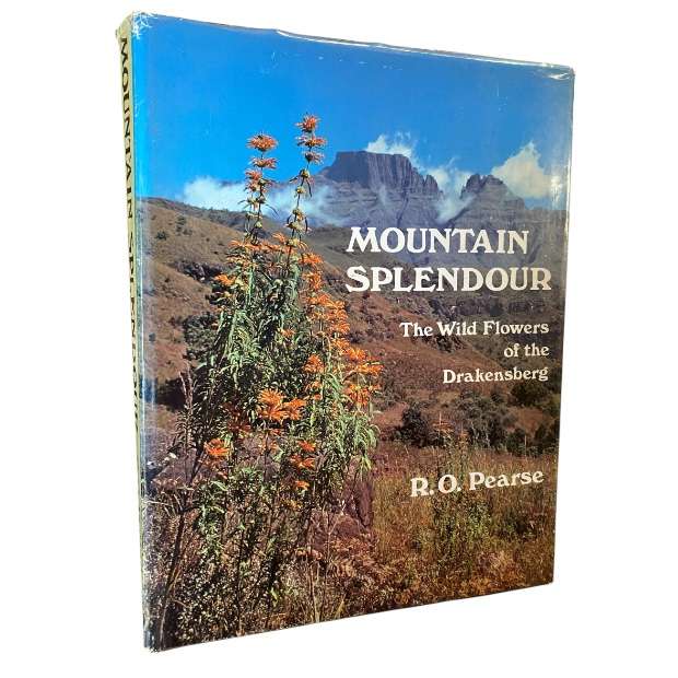 Mountain Splendour