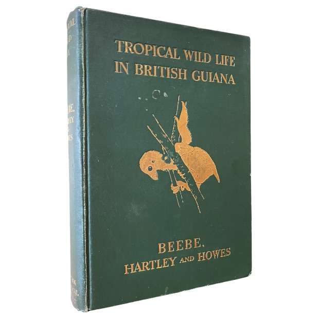 Tropical Wild Life in British Guiana