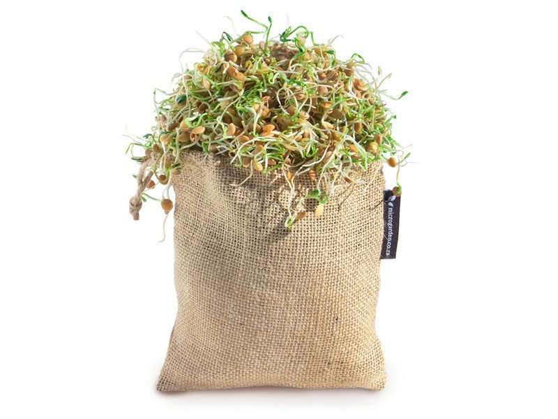 Reusable Sprout Bag - Micro Garden