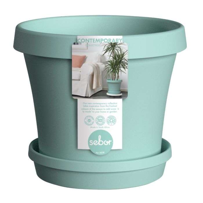 BULK PACK 6 X SEBOR SUPER POT & SAUCER SET 20CM TEAL