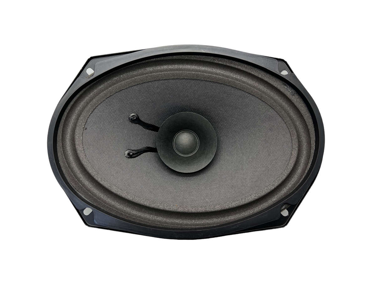 Blackspider MFN691SE 6x9 Trade Speaker