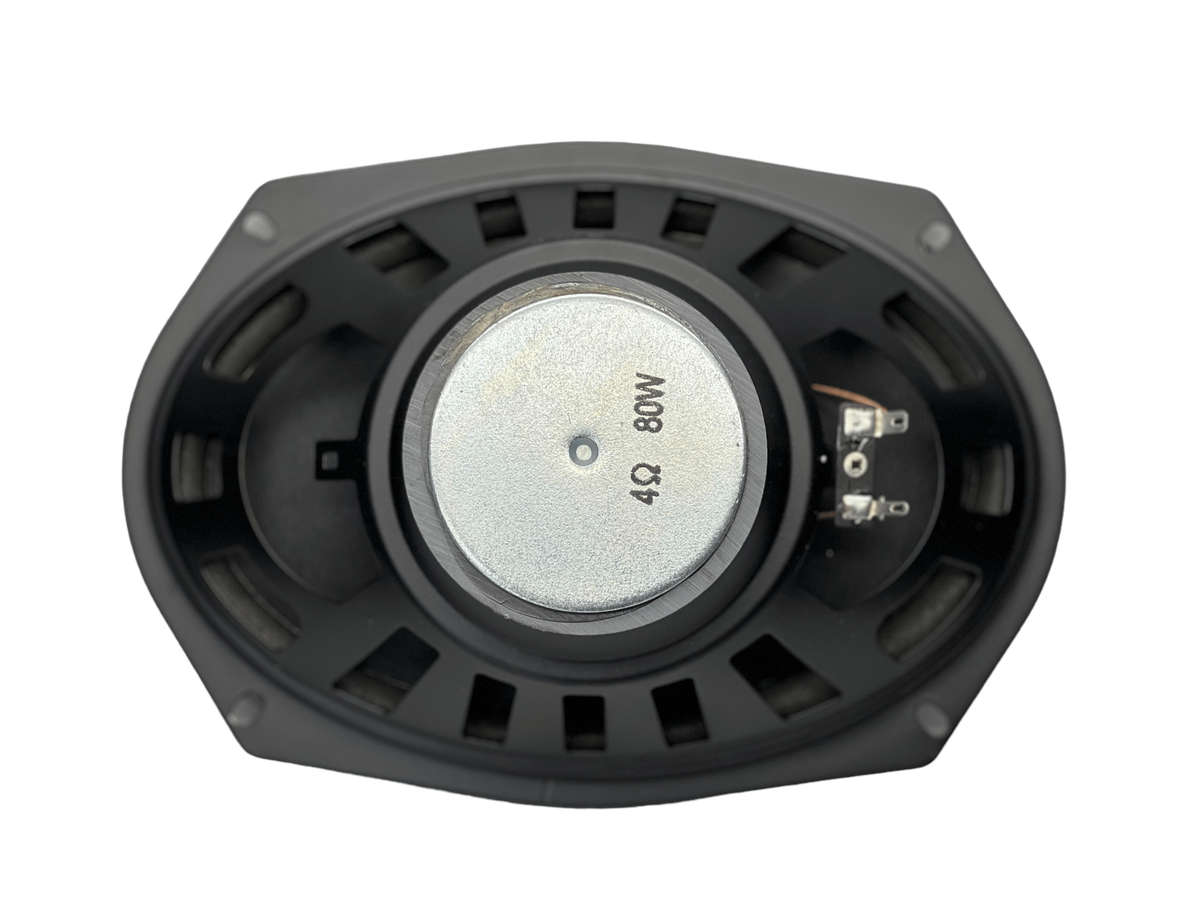 Blackspider MFN691SE 6x9 Trade Speaker