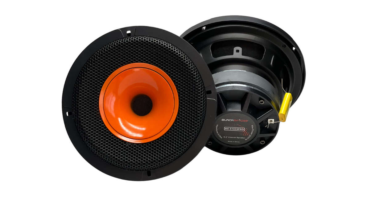 Blackspider Bs-S1695pro 6" 2000W Pro Speaker