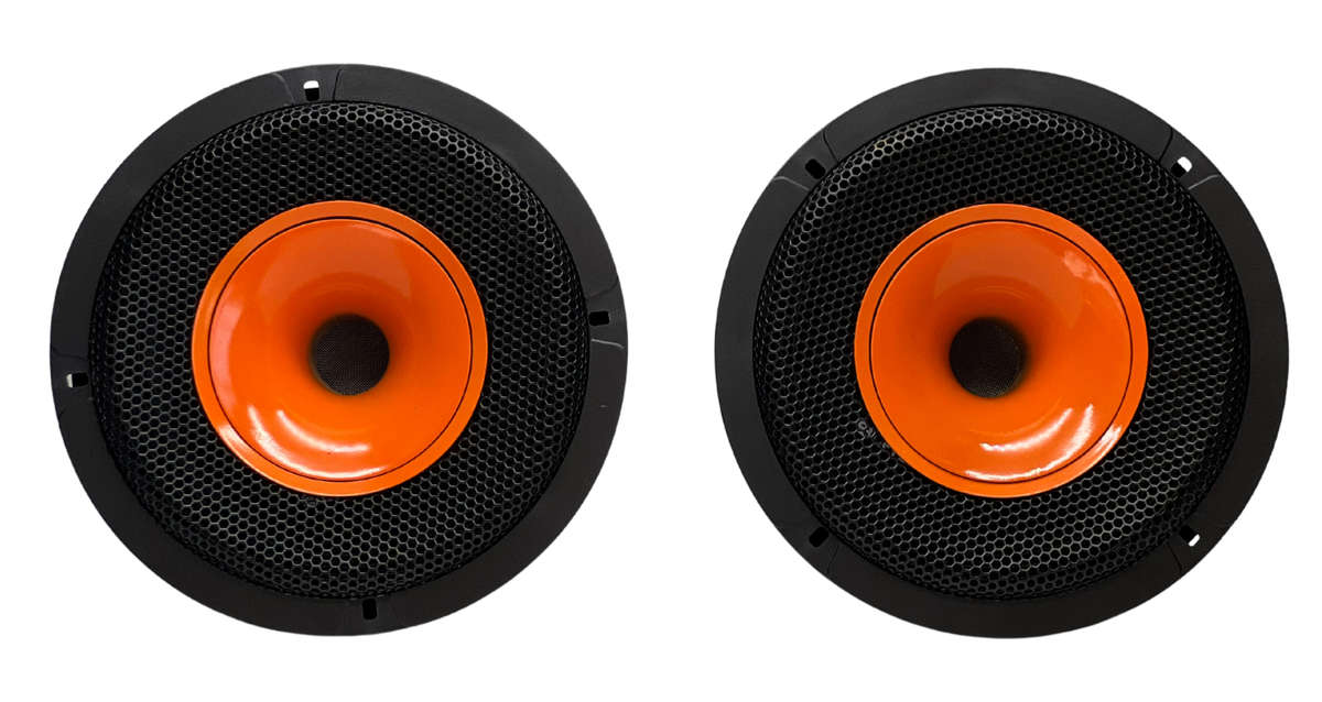 Blackspider Bs-S1695pro 6" 2000W Pro Speaker