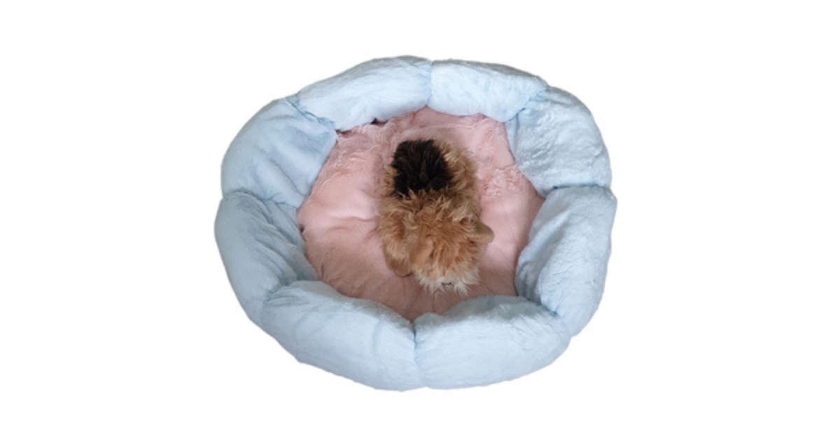 Petal Pet Bed - Peach