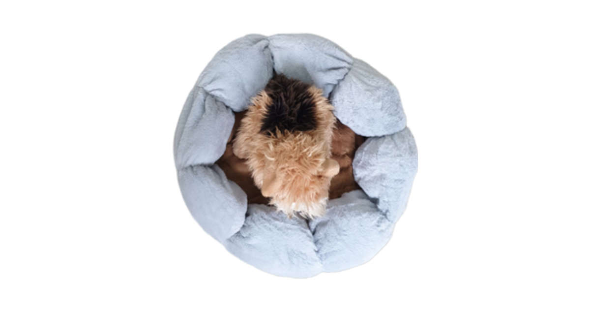 Petal Pet Bed - Blue/ Brown - M