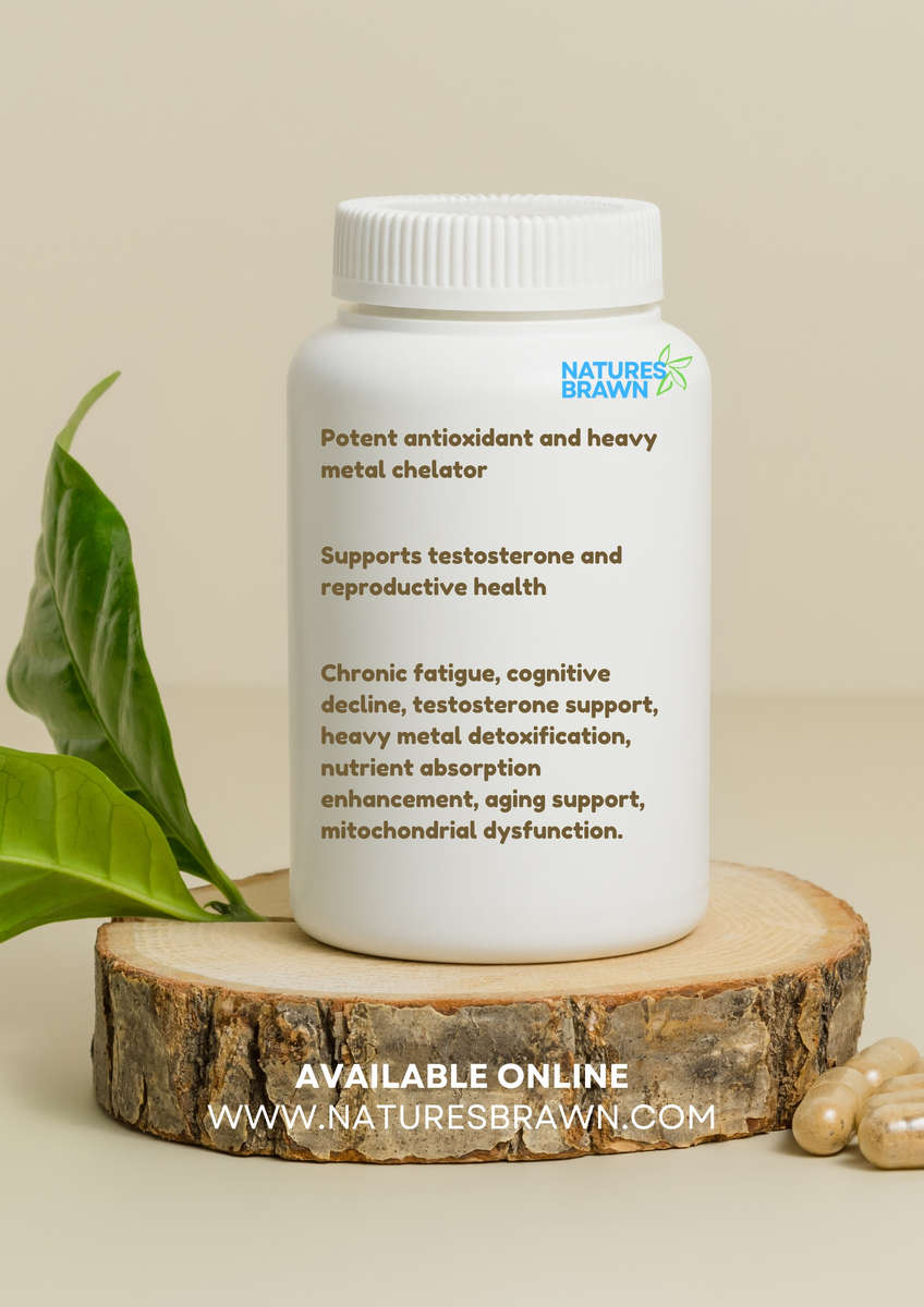Shilajit Extract