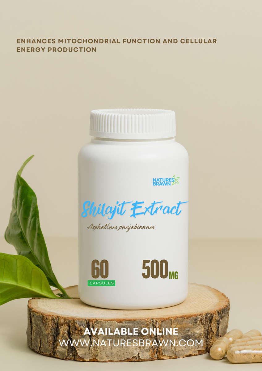 Shilajit Extract