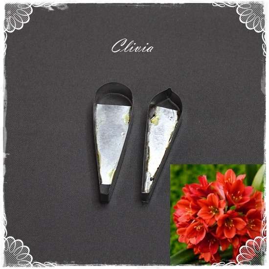 Clivia Flower Cutter.