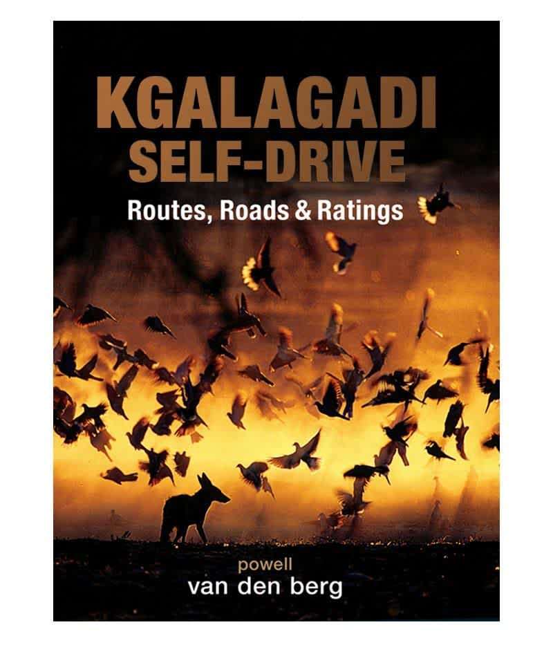 Kgalagadi Self-drive - by Heinrich Van Den Berg