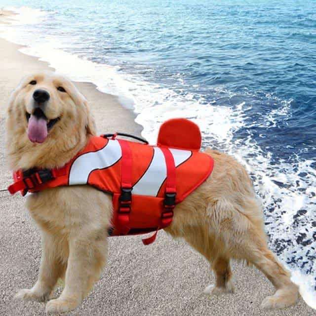 Prima Paws Dog Water Vest Life Jacket  Nemo  Small