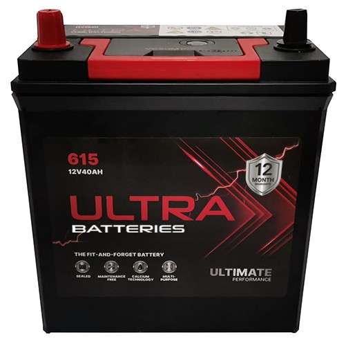 615 Battery - 12V