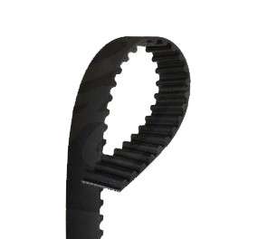 Alfa Timing belt - FSD (173x18)