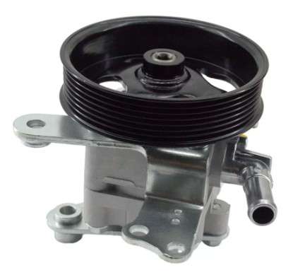 Proton power steering pump