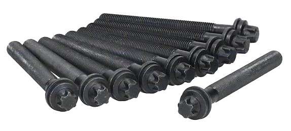 Peugeot cyl head stretch bolt set (10) 110mm M12