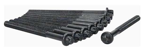 cyl head stretch bolt set (10) (145mm M11)
