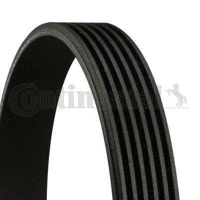 Peugeot micro-V belt - non-stretch