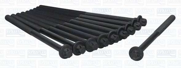 Peugeot cyl head stretch bolt set (10) (175mm M10)