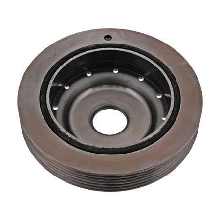 Renault Crankshaft pulley-micro-V belt (134x33 6PK)