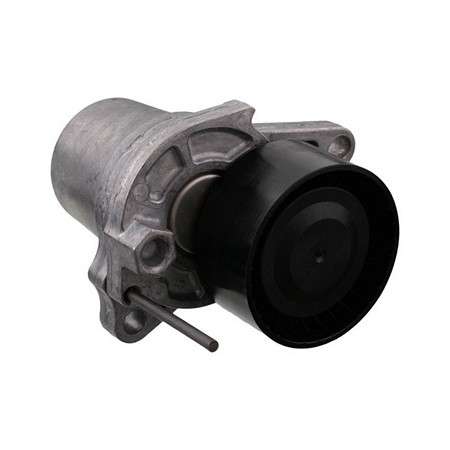 Renault Tensioner - micro-V belt (30x65)