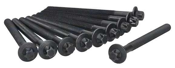 Peugeot cyl head stretch bolt set (10) 117mm M10