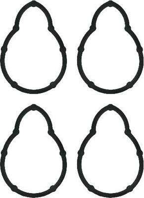 Renault manifold gasket SET - inlet (PEAR SHAPE)
