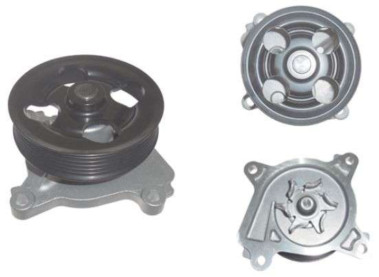 Renault water pump