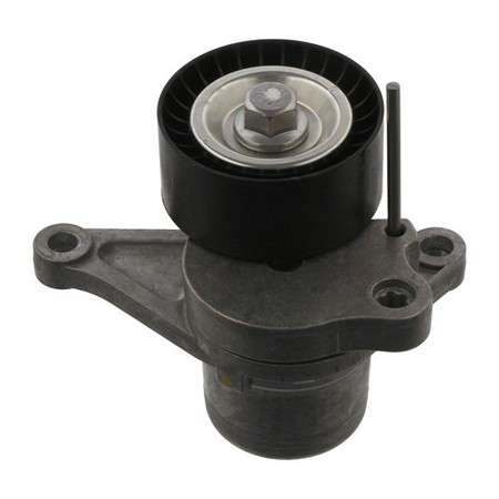 Renault tensioner - micro-V belt 65x29.5