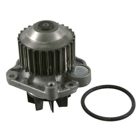 Renault water pump