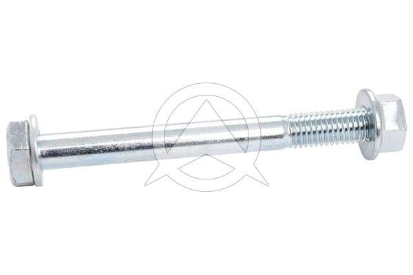 Audi camber bolt kit