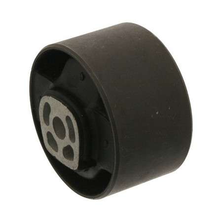 Citroen engine mounting - front right 10x70x53