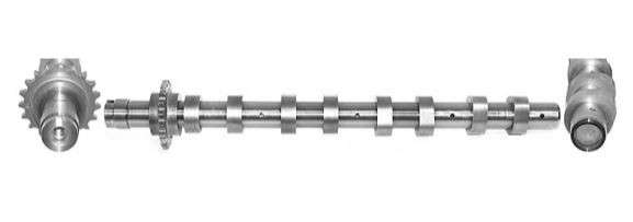 Citroen camshaft - inlet